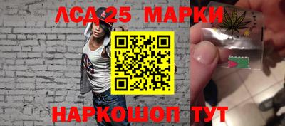 дмт Краснодар