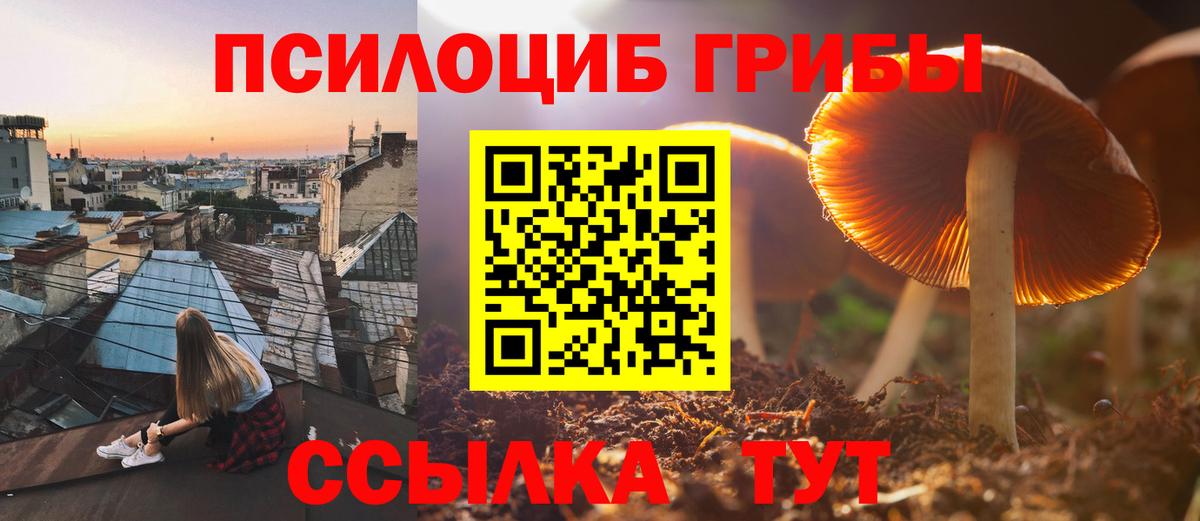 Галлюциногенные грибы GOLDEN TEACHER  купить наркотики цена  Ипатово  Вход с VPN  Галлюциногенные грибы мухоморы 